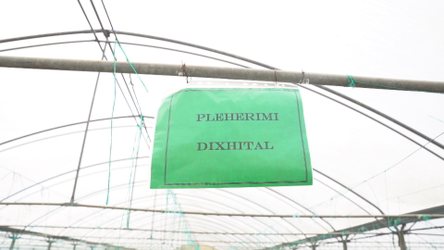 Gati ngritja e “urdhrit”, Qeveria do të vendosë licencim të detyruar për agronomët
