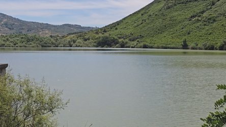 Mungojnë investimet, rrethuar nga rezervuare por pa vaditje në ara