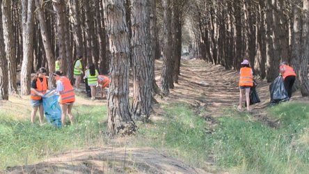 Nga pylli i Semanit, të rinjtë vullnetarë apel për mbrojtjen e natyrës