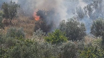 Nis “sezoni” i zjarreve, Haki Çako: Janë menaxhuar 160 vatra, duhet kujdes