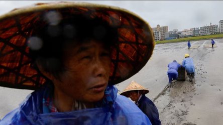 Afrohet tajfuni Bavi, Kina evakuon mbi një milion banorë 