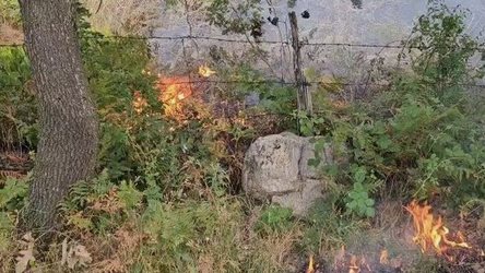Me objektiv parandalimin e zjarreve, Kukësi dhe Prizreni krijojnë brezin mbrojtës përgjatë kufirit Kosovë-Shqipëri