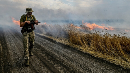 Rusia shënjestron me bomba ndezëse të korrat e Ukrainës
