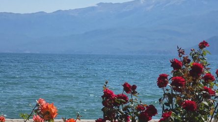 Sezoni veror në Pogradec, fluks pushuesish, jo vetëm për klimën por dhe shërbimin