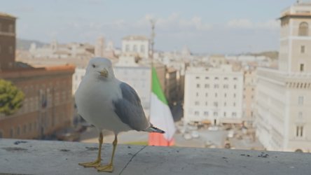 Një vit nga hyrja në fuqi e marrëveshjes së pensioneve me Italinë, mijëra aplikime ende në pritje