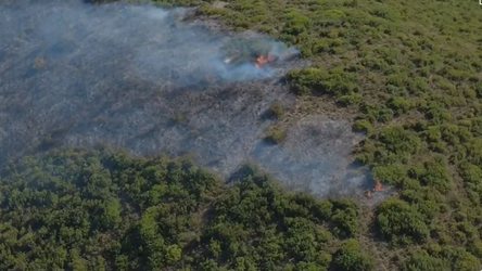 Zjarr në kodrat e Selishtës në Mallakastër, flakët përfshijnë ullishte dhe shkurre