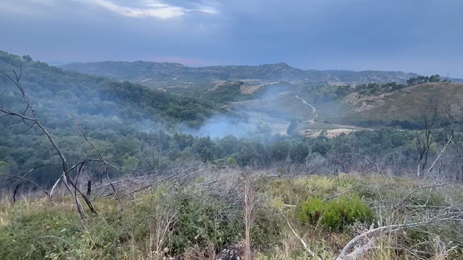 Zjarr në kodrat e Peshtanit, zjarrfikësit neutralizojnë flakët dhe shmangin përhapjen