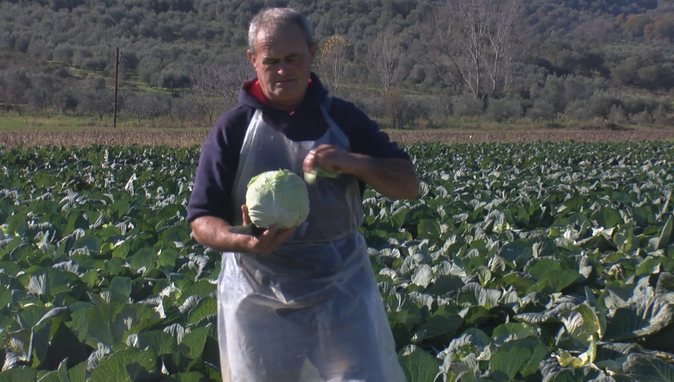 Pengu i fermerit: Tre dekada me bujqësi, më mirë të ikja në emigrim