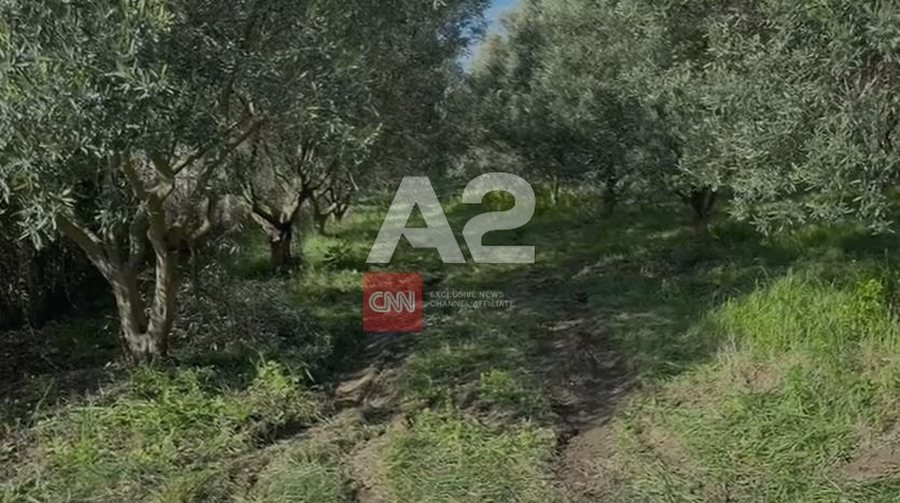 A2 CNN sjell pamje nga vendi ku u gjet&euml;n automjetet q&euml; do t&euml;