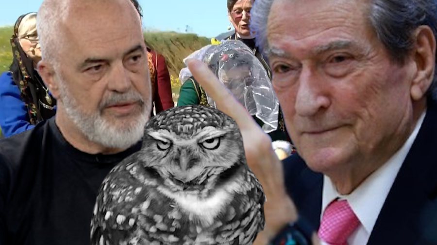 What are "swamps" and "owls" according to Edi Rama?