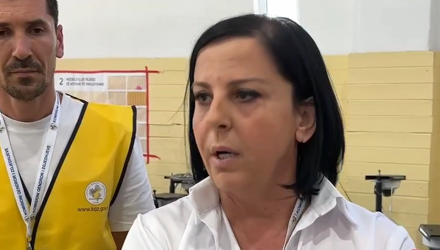 Vote counting in CEAZ no. 60 in Fier is interrupted, DP commissioners withdraw