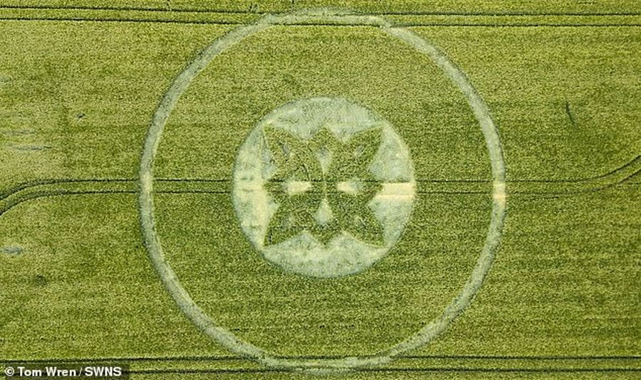 Rikthehen rrathët misteriozë në fusha, shpërthejnë