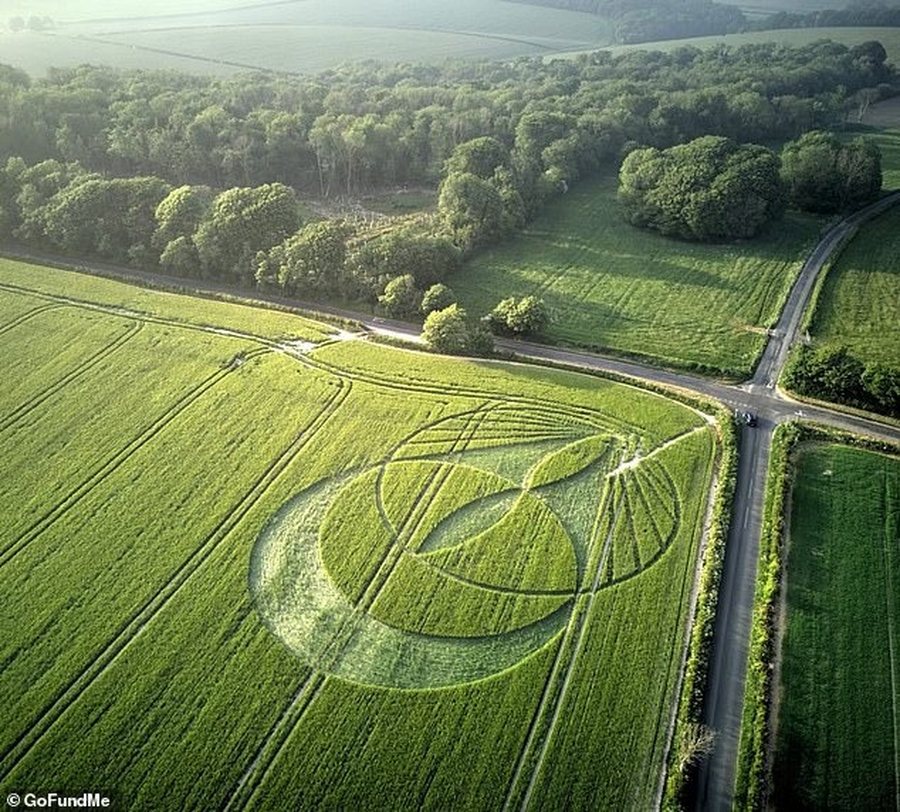 Rikthehen rrathët misteriozë në fusha, shpërthejnë