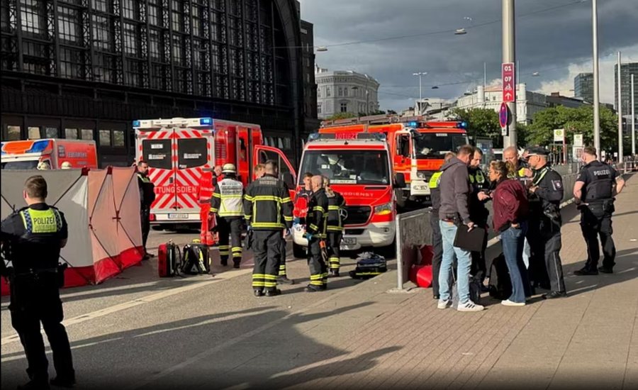 Sulm me thikë në stacionin hekurudhor në Hamburg, 12 të