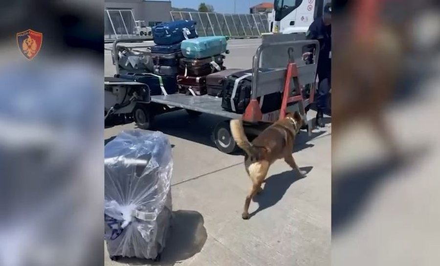 Solli 19.4 kg drogë nga Tajlanda, arrestohet në Rinas