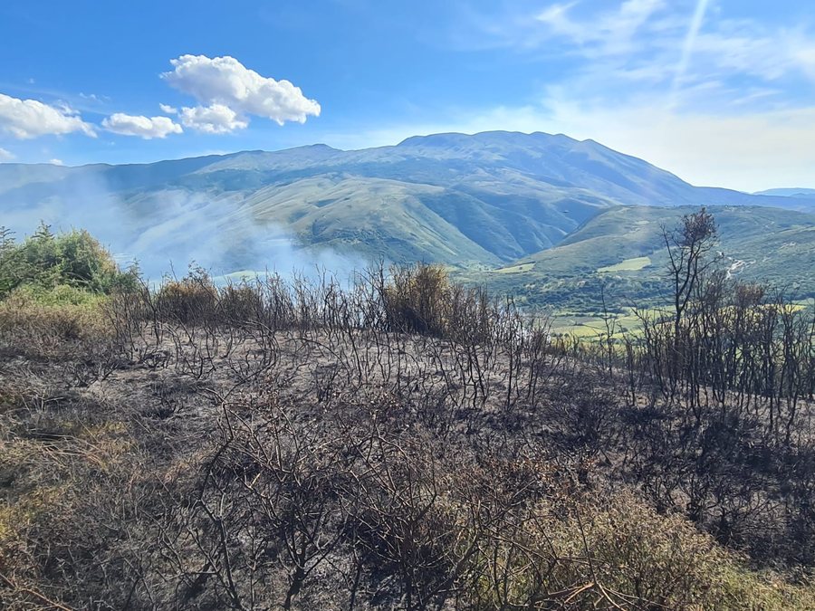Zjarr i qëllimshëm në Memaliaj, shkrumbohen kullotat