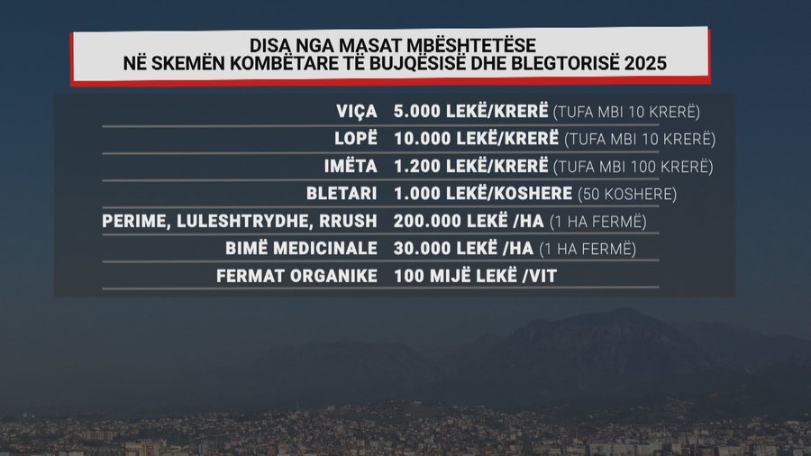 E premtja, afati i fundit. Rreth 66 mijë aplikime në skemën e