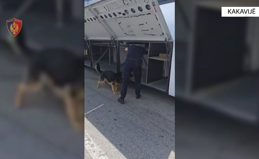 Rreth 74 mijë euro dhe dokumenta false brenda autobusit, arrestohen 2