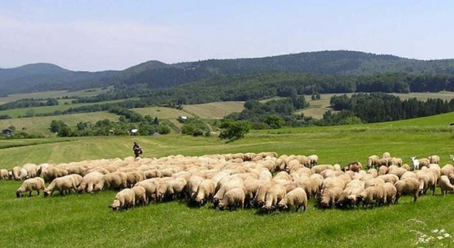 Shumica e të rinjve shqiptarë nuk e njohin trashëgiminë