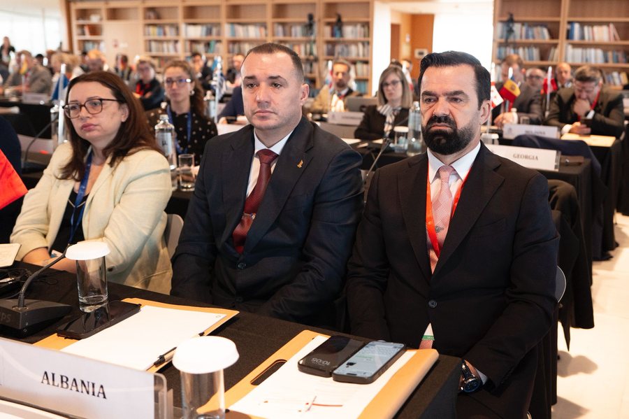 Krimi i organizuar dhe terrorizmi, Proda në konferencën e INTERPOL-it