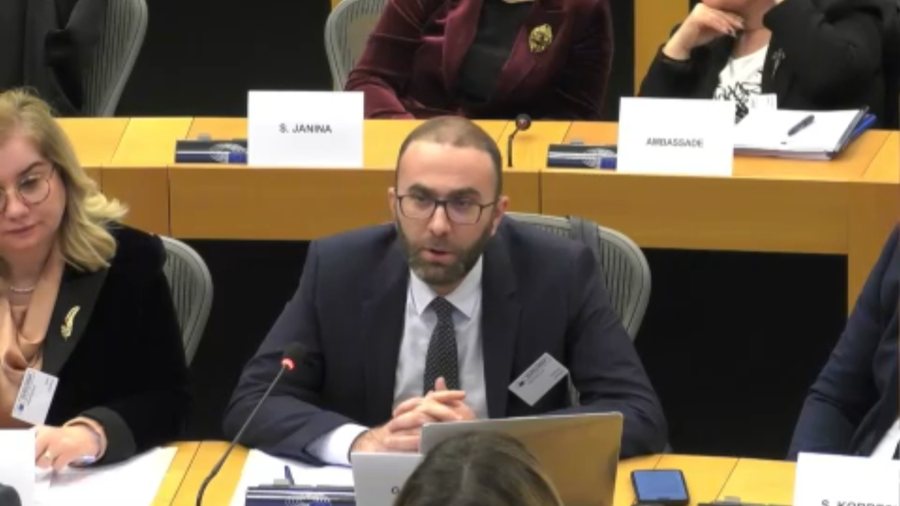 Procesi i stabilizim-asocimit, delegacioni i Shqipërisë në