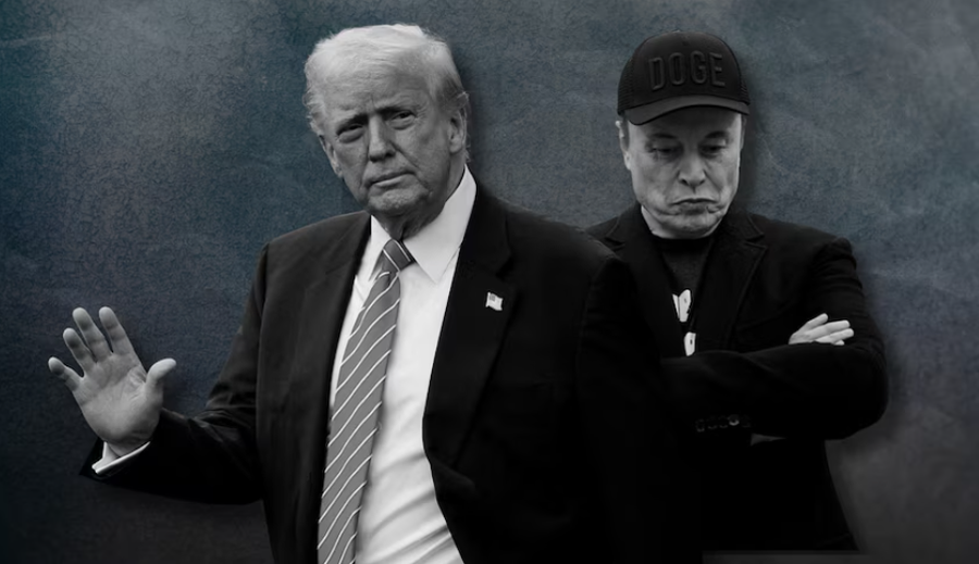 Will Trump Deport Elon Musk from the US? Here's How the American President