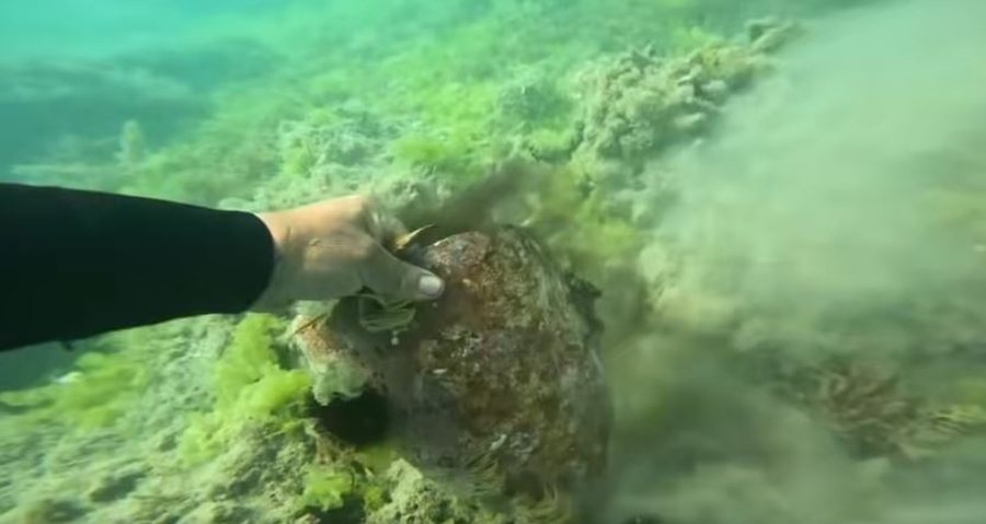 Rama ndan pamjet e Parkut Arkeologjik Nënujor të Durrësit: