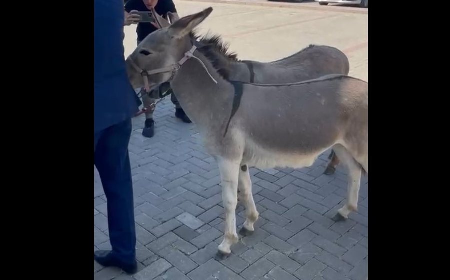 Gomerë para oborrit të Kuvendit, çfarë po ndodh në