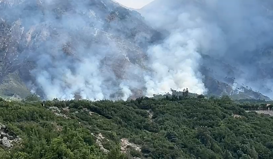 Fire on Mount Dukat endangers Llogara National Park, over 160 hectares burned