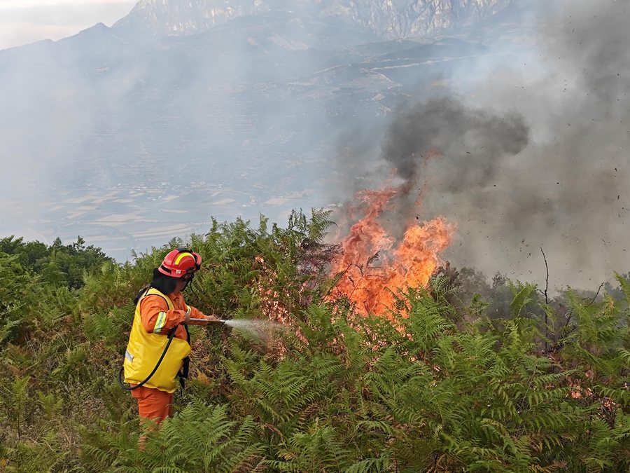 15 fires in the country, 4 still active