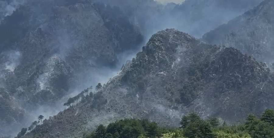 Vijon prej 4 ditësh zjarri në malin e Dukatit, kreu i emergjencave: