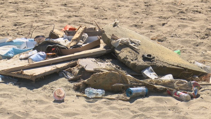"Tourism is being damaged!" The American Chamber raises concerns: