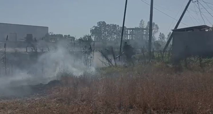 Zjarr i fuqishëm në Lushnje, digjen 4 dynym ullinj, angazhohen edhe