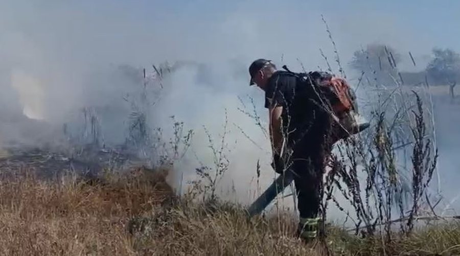 Zjarr i fuqishëm në Lushnje, digjen 4 dynym ullinj, angazhohen edhe