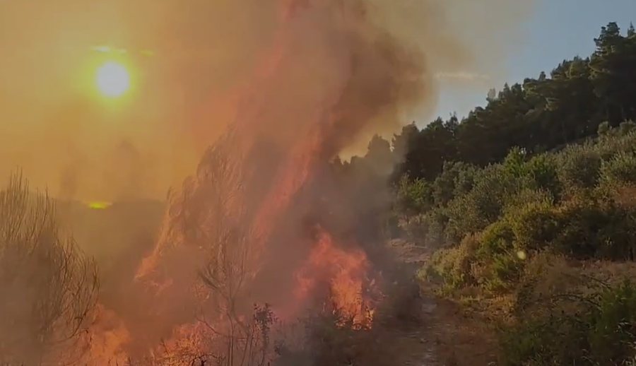 Zjarr i madh në Mallakastër