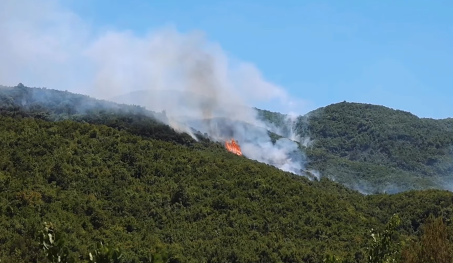 Situata e zjarreve në vend, 22 vatra në 24 orë, 5 mbeten ende