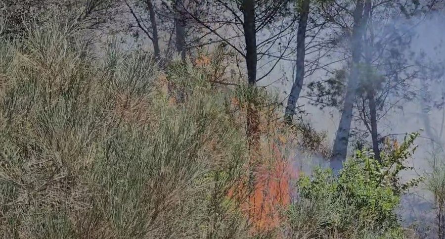 3 vatra zjarri në Fier, flakët po përhapen me shpejtësi,