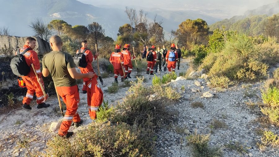 Vijon zjarri në Mallakastër, 30 forca të ushtrisë në