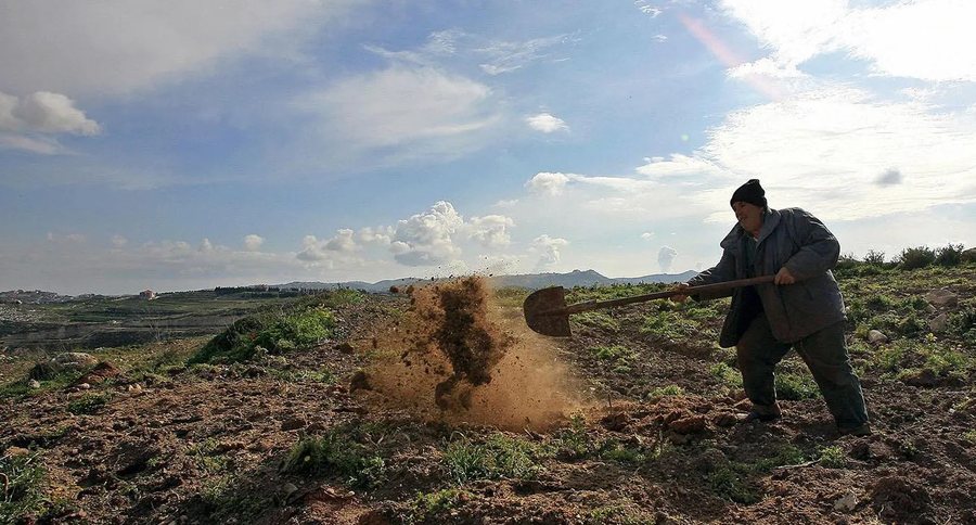 Njoftimi i rëndësishëm, ja si lëshohen faturat për