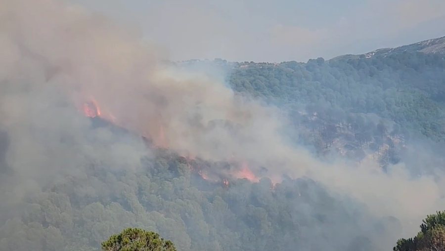 Riaktivizohet zjarri në Drenovë të Mallakastrës