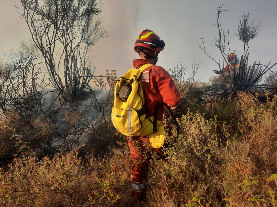 Fires in the country, here are the critical hotspots where helicopter