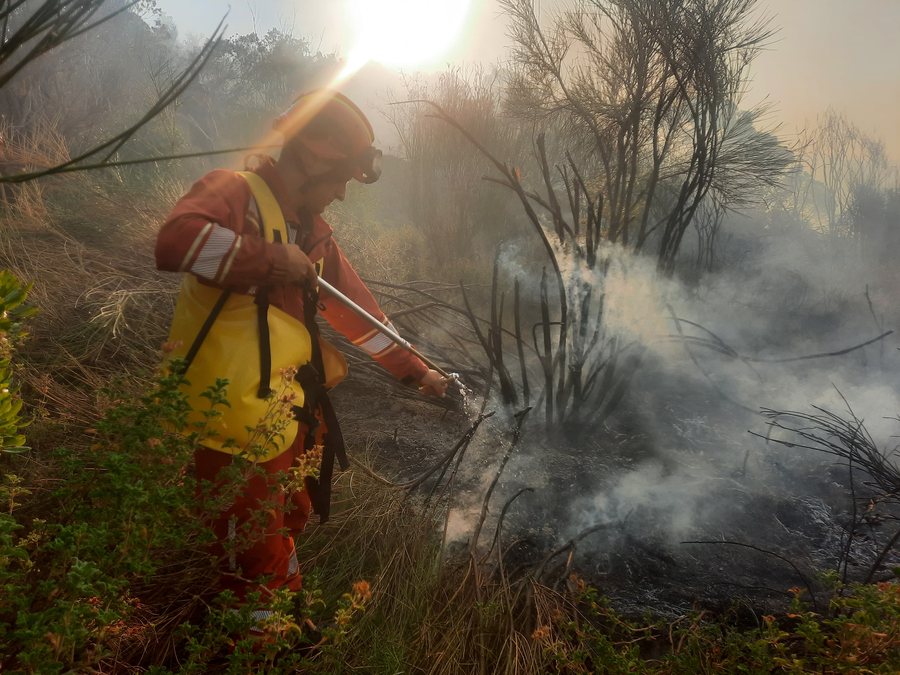 Fires in the country, here are the critical hotspots where helicopter
