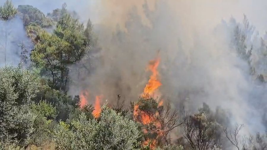 4 vatra aktive zjarri në vend, situata më e rëndë në