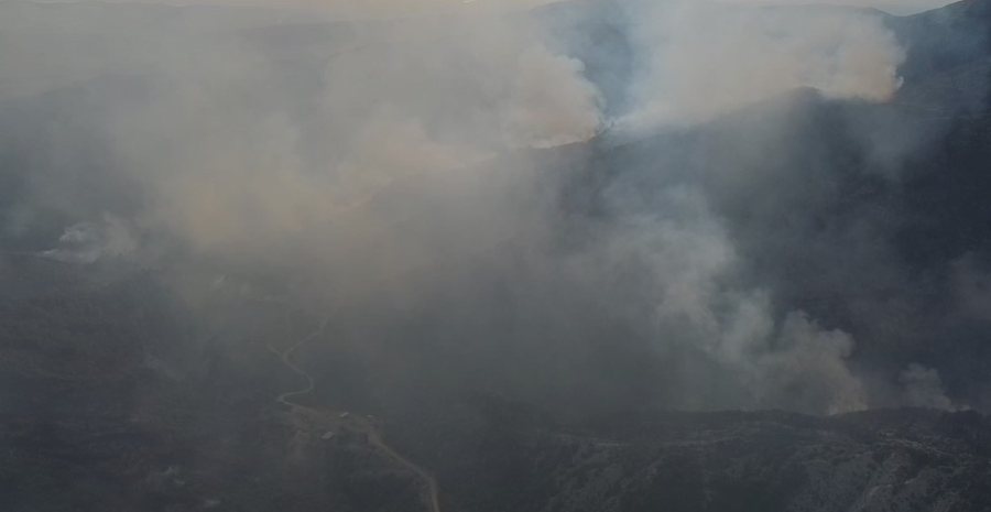 Era favorizon zjarrin, flakët avancojnë në pyjet e Drenovës