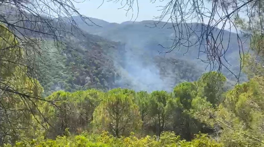 Pas 5 ditësh, shuhet zjarri në kodrat e Drenovës
