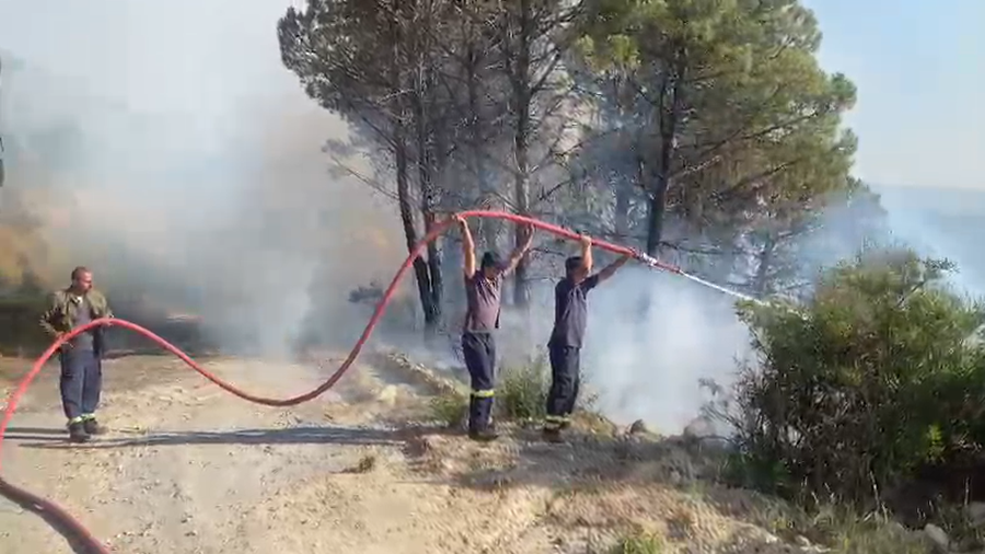 Fire in Belishovo, Mallakastra, burns dozens of hectares of olive and pine
