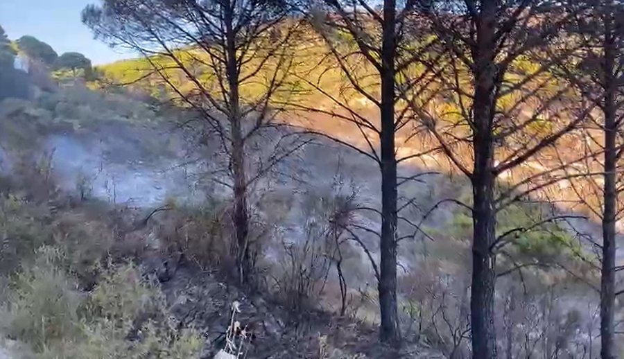 30 army forces join the operation, the fires in Belishovo, Mallakastra are