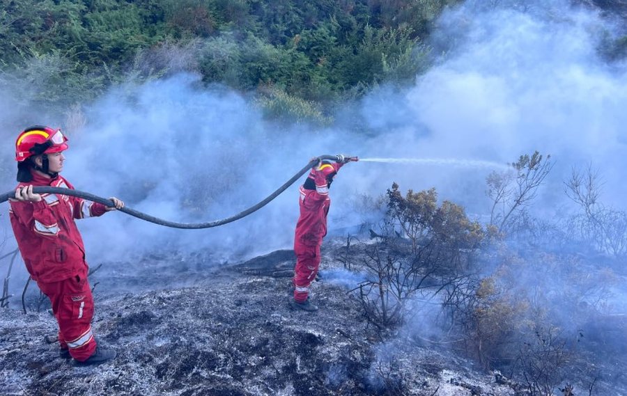 The Ministry of Defense takes stock: 11 active fires in the country