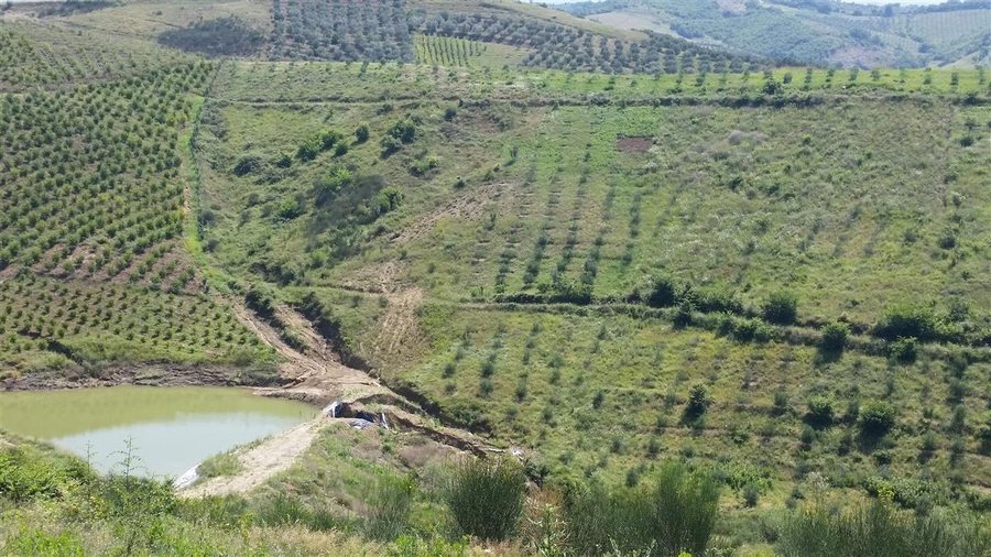 Cërrik, 65-vjeçari mbytet në kanalin vaditës