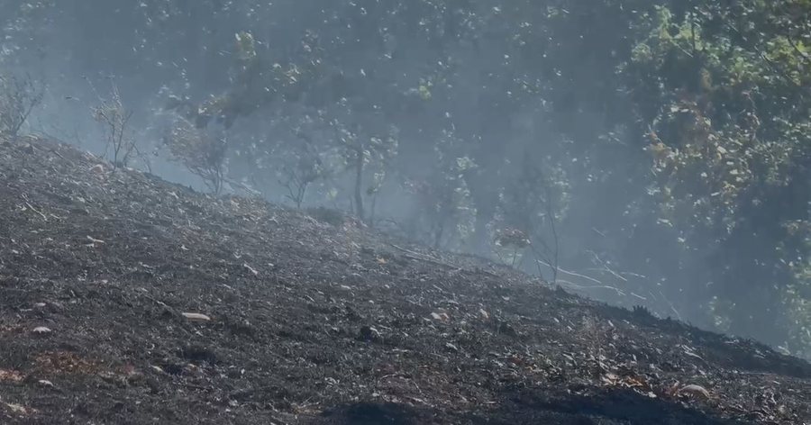 Zjarr në Maliq, digjen dy hektarë bimësi